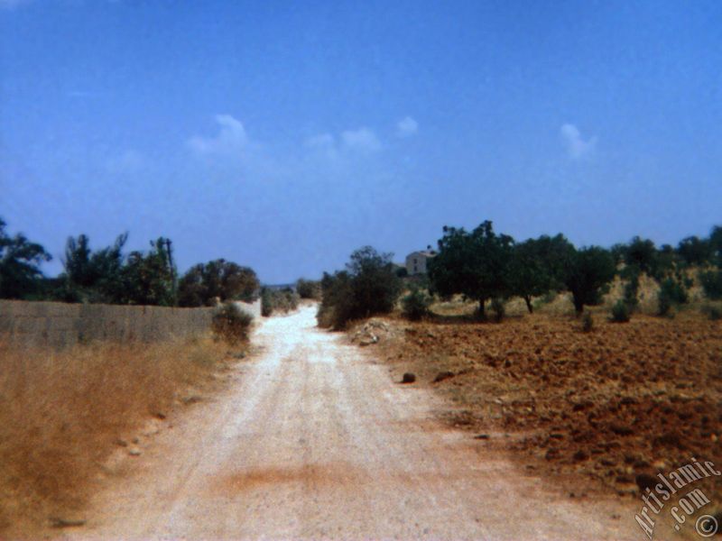 View of a village`s way in Gaziantep city of Turkey.
