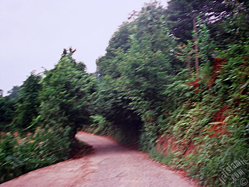 View of village from `OF district` in Trabzon city of Turkey.
