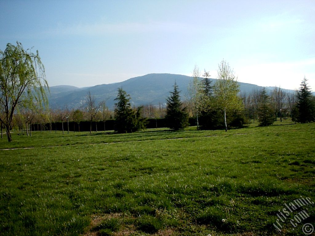 View of Botanical Park in Bursa city of Turkey.
